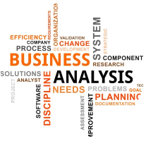 Business Analysis